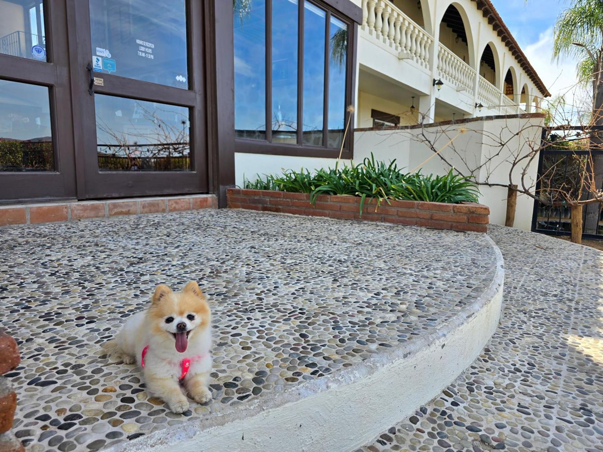 Hacienda Guadalupe Hotel Bagian luar foto