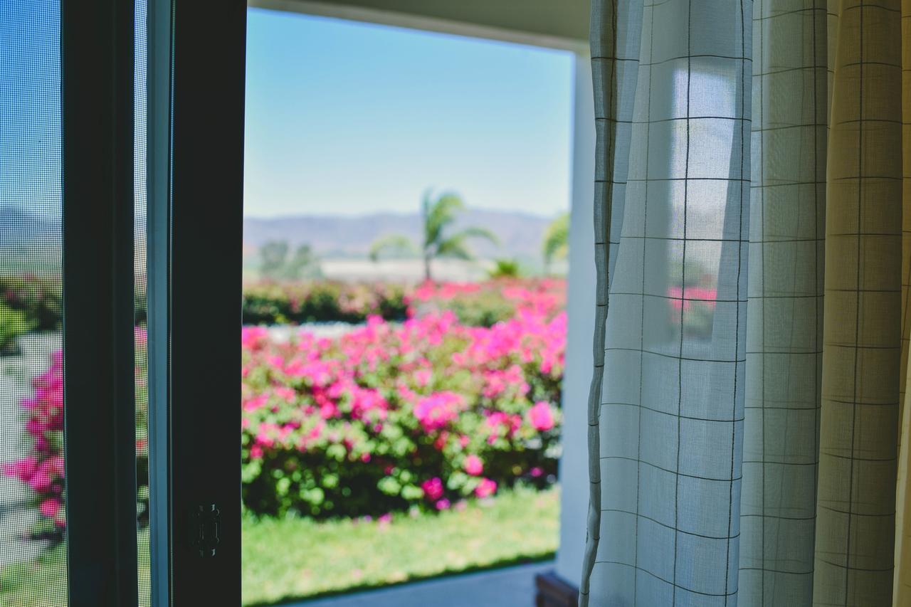 Hacienda Guadalupe Hotel Bagian luar foto