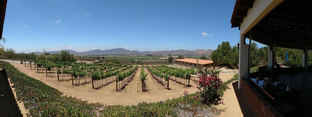 Hacienda Guadalupe Hotel Bagian luar foto